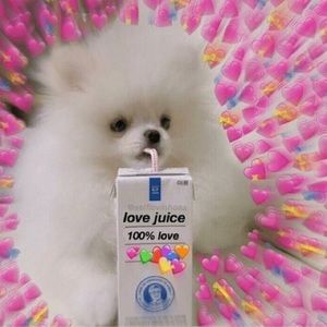 Meet your Posher, Cassandra